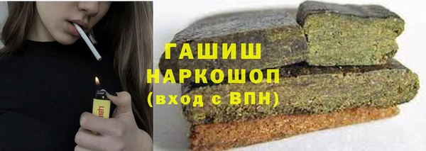 индика Горнозаводск