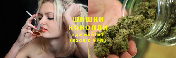 шишки Няндома