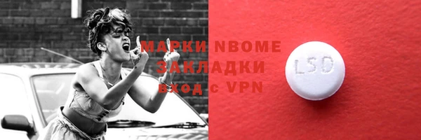 шишки Няндома