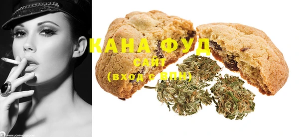 шишки Няндома
