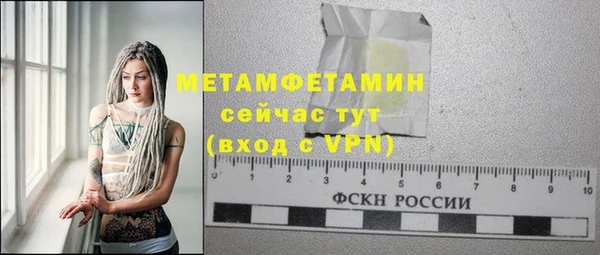 шишки Няндома