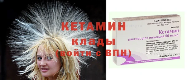 шишки Няндома