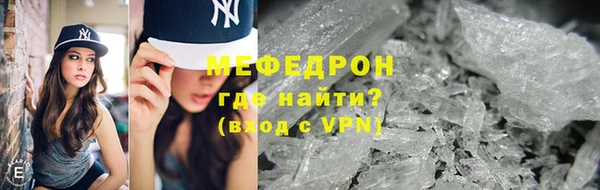 шишки Няндома
