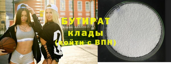 шишки Няндома