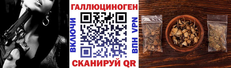 Псилоцибиновые грибы мицелий  Анапа 