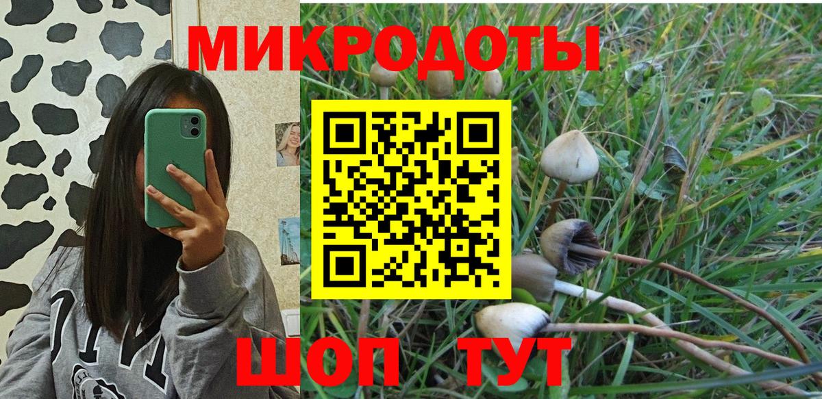 Анапа  Галлюциногенные грибы Cubensis  Псилоцибиновые грибы Psilocybine cubensis  наркота  Вход с VPN 