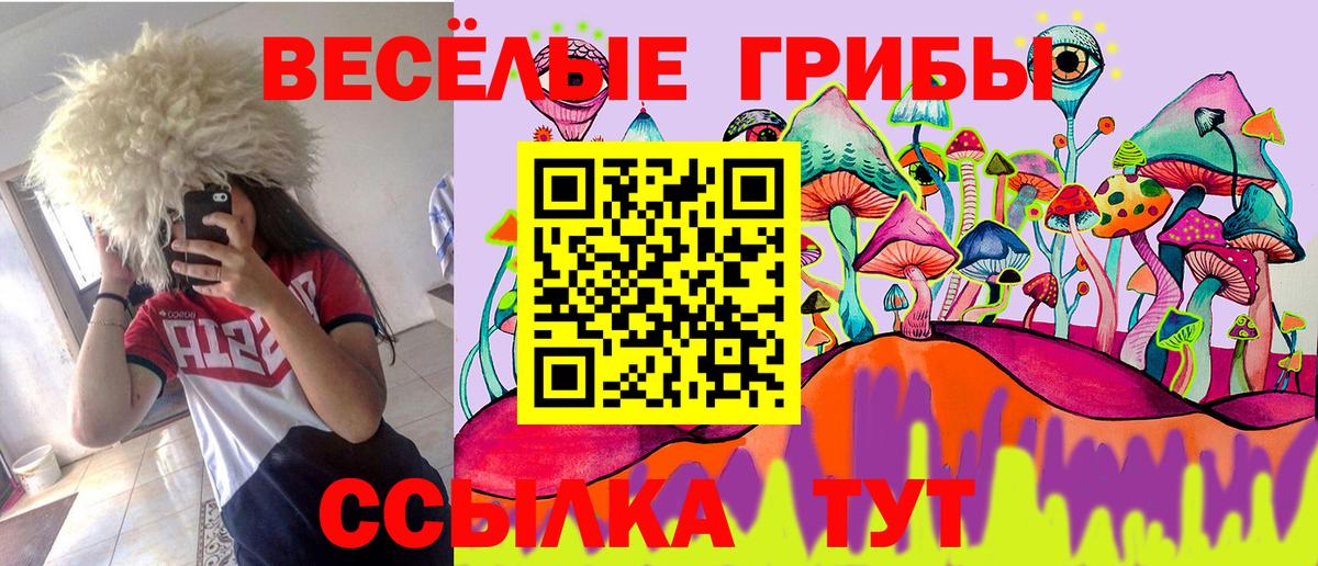 Галлюциногенные грибы Psilocybe Анапа